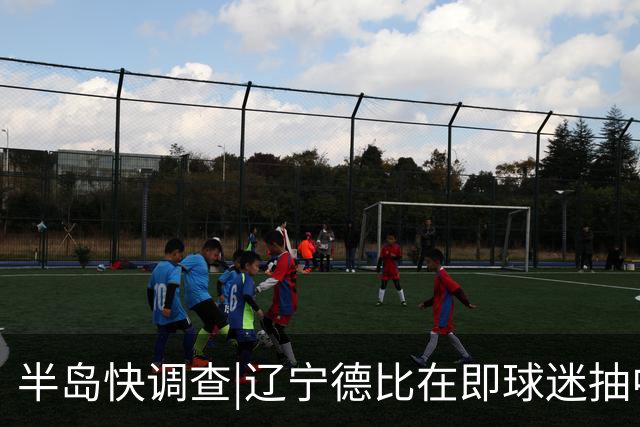 半岛快调查|辽宁德比在即球迷抽中球票却被告知“黄牛没抢到票”